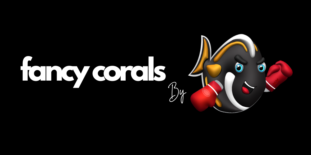 fancy-corals-banner